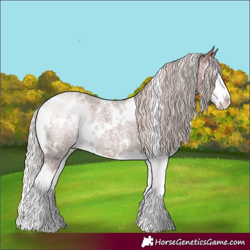 Horse Color:White Spotted Chocolate Silver Brown Roan Splash Rabicano 