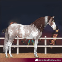 Horse Color:White Spotted Chocolate Brown Roan Splash Rabicano 