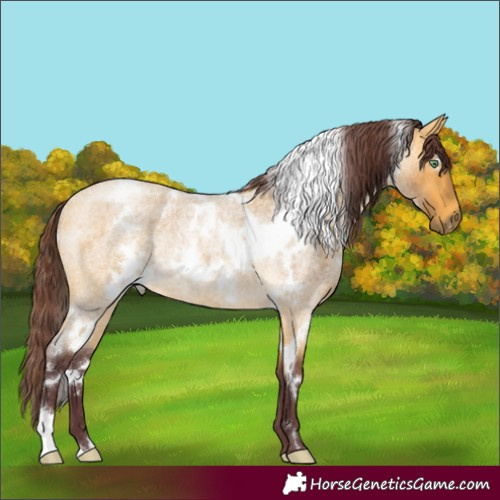 Horse Color:White Spotted Chocolate Buckskin Roan Rabicano 