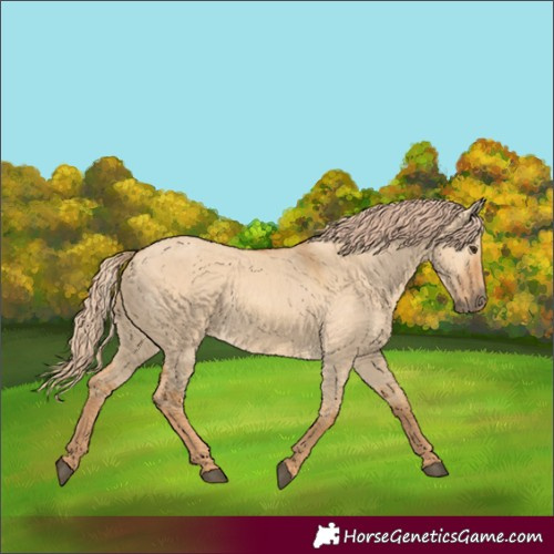 Horse Color:Red Dun 