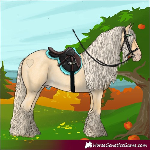 Horse Color:Gold Cream Champagne Roan 