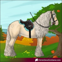 Horse Color:Gold Cream Champagne Roan 