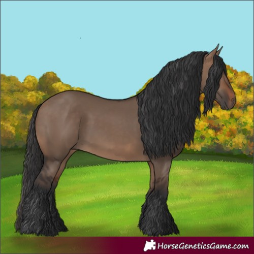 Horse Color:Brown Dun 