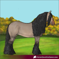 Horse Color:Brown Dun 