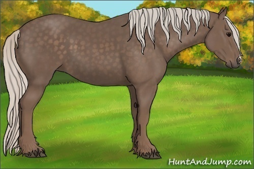 Horse Color:Silver Black 