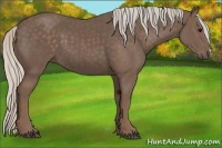 Horse Color:Silver Black 