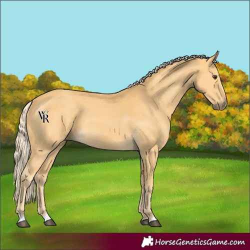Horse Color:Palomino