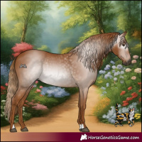 Horse Color:Gray Chestnut 