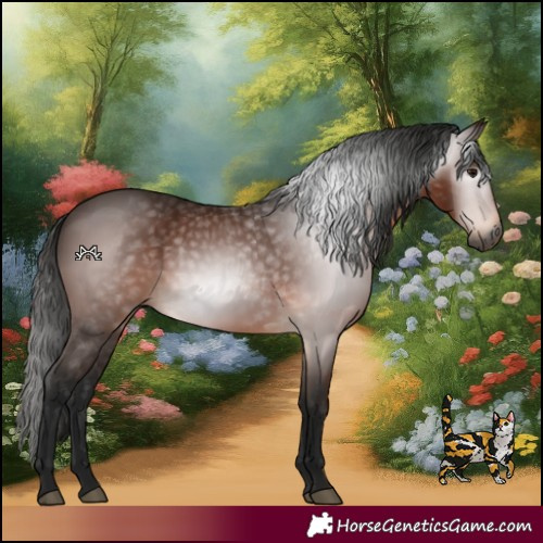 Horse Color:Gray Bay 