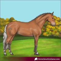 Horse Color:Silver Bay