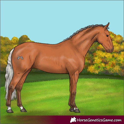 Horse Color:Silver Bay