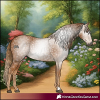 Horse Color:Gray Chestnut 