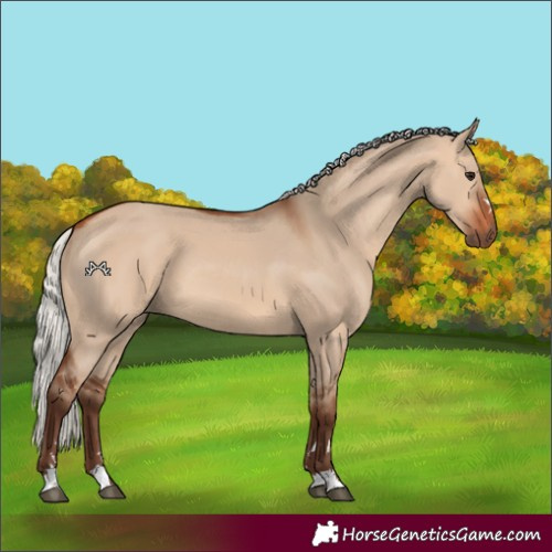 Horse Color:Silver Bay Dun