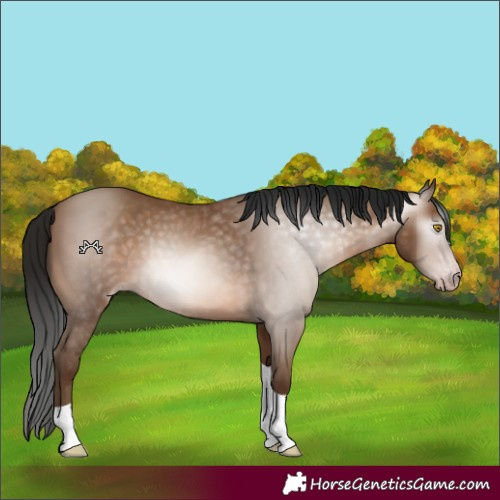 Horse Color:Gray Amber Champagne Tobiano 