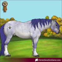 Horse Color:Gray Watercolor Brown Roan Dun Tobiano 