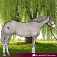 Horse Color:Silver Grullo Roan Sabino 