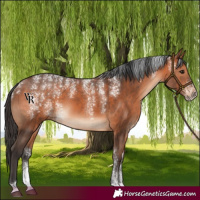 Horse Color:Powder White Bay