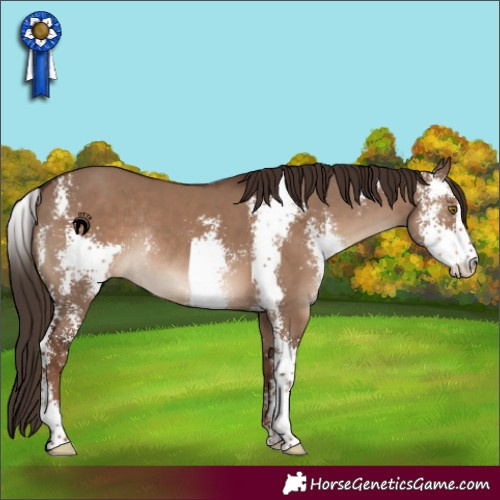 Horse Color:Liver Red Dun Sabino Rabicano 