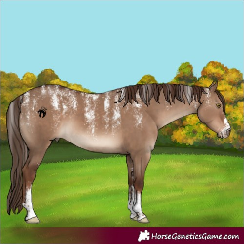 Horse Color:Powder White Liver Red Dun 