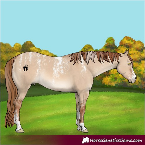 Horse Color:Powder White Red Dun Rabicano 