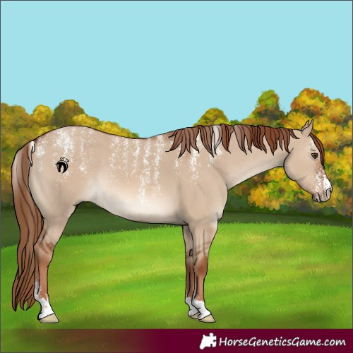 Horse Color:Powder White Red Dun Rabicano 