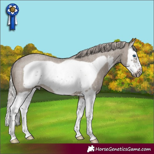 Horse Color:Silver Grullo Roan Sabino Splash Frame Rabicano