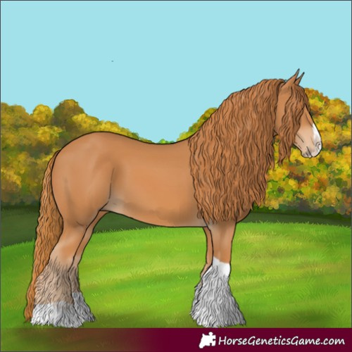 Horse Color:Chestnut Splash Tobiano 