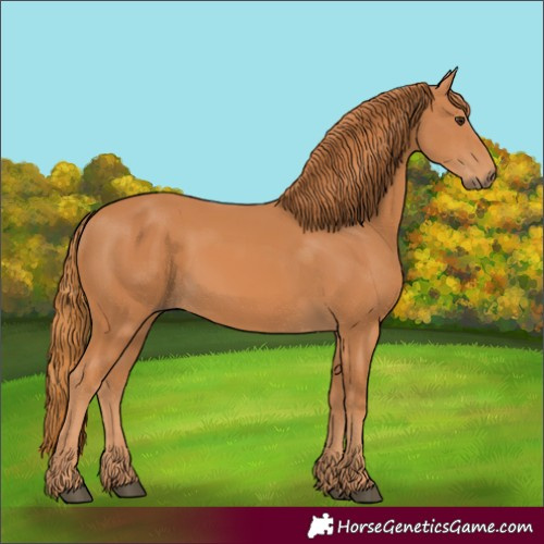 Horse Color:Chestnut 