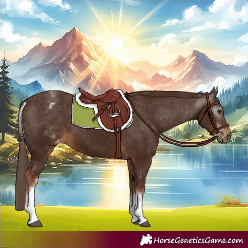 Horse Color:Gray White Spotted Chestnut Varnish 