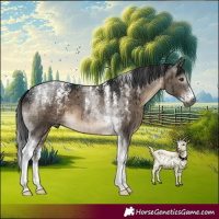 Horse Color:Powder White Gray Brown Dun Tobiano Brindle