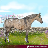 Horse Color:Powder White Gray Silver Brown Dun Merle Brindle 