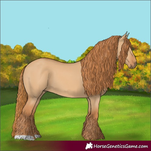 Horse Color:Red Dun