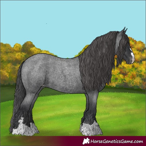 Horse Color:Blue Roan Varnish