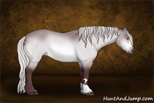 Horse Color:Chocolate Silver Bay Chinchilla