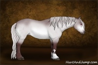 Horse Color:Chocolate Silver Bay Chinchilla 