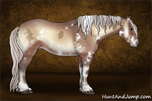 Horse Color:White Spotted Silver Bay Ice Onyx 