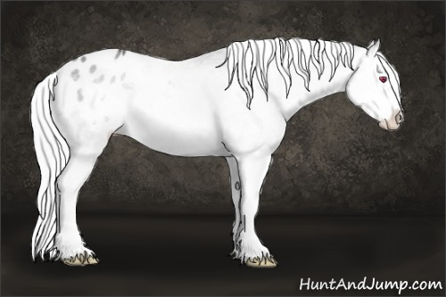 Horse Color:Silver Brown Chinchilla Ice Roan Onyx Splash Frame Varnish