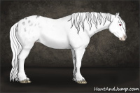 Horse Color:Silver Brown Chinchilla Ice Roan Onyx Splash Frame Varnish 