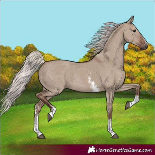 Horse Color:Silver Grullo Sabino Rabicano 