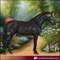 Horse Color:Gray Black 