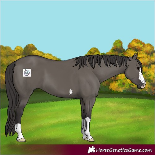 Horse Color:Smoky Grullo