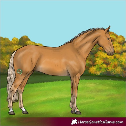 Horse Color:Palomino