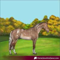 Horse Color:Powder White Silver Brown Dun 