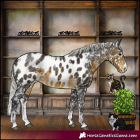 Horse Color:Powder White Silver Buckskin Appaloosa