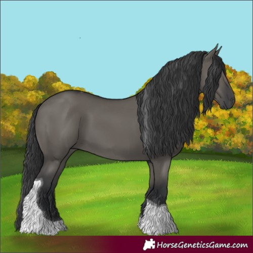 Horse Color:Grullo Tobiano 