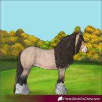 Horse Color:Bay Roan Dun Splash