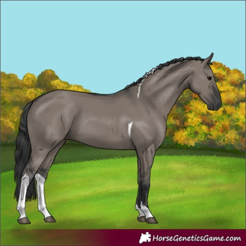 Horse Color:Grullo Tobiano