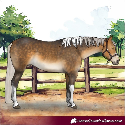 Horse Color:Silver Buckskin Tobiano 