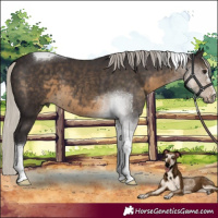 Horse Color:Silver Smoky Black Tobiano 