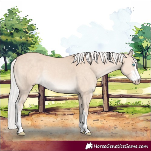 Horse Color:Silver Perlino Sabino Rabicano 
